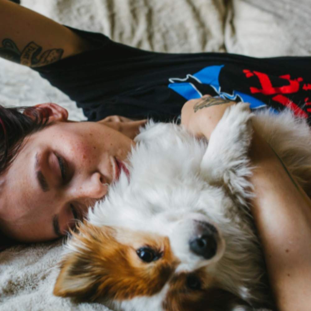 how to remove pet hair from bedding